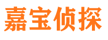 新华侦探公司